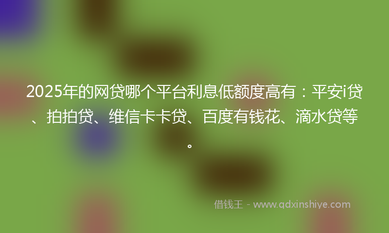 2025年的网贷哪个平台利息低额度高有：平安i贷、拍拍贷、维信卡卡贷、百度有钱花、滴水贷等。