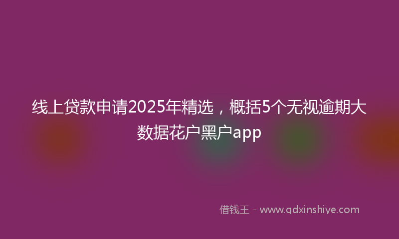 线上贷款申请2025年精选，概括5个无视逾期大数据花户黑户app