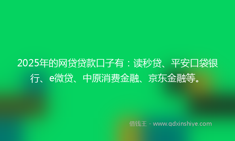 2025年的网贷贷款口子有：读秒贷、平安口袋银行、e微贷、中原消费金融、京东金融等。