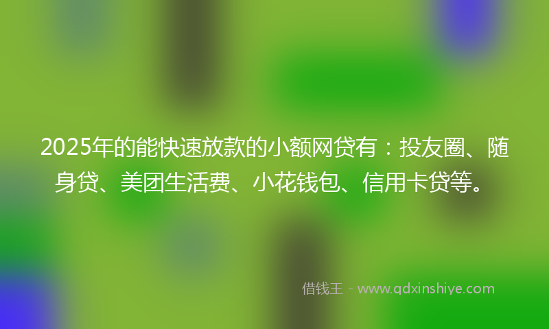 2025年的能快速放款的小额网贷有：投友圈、随身贷、美团生活费、小花钱包、信用卡贷等。