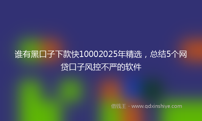 谁有黑口子下款快10002025年精选，总结5个网贷口子风控不严的软件