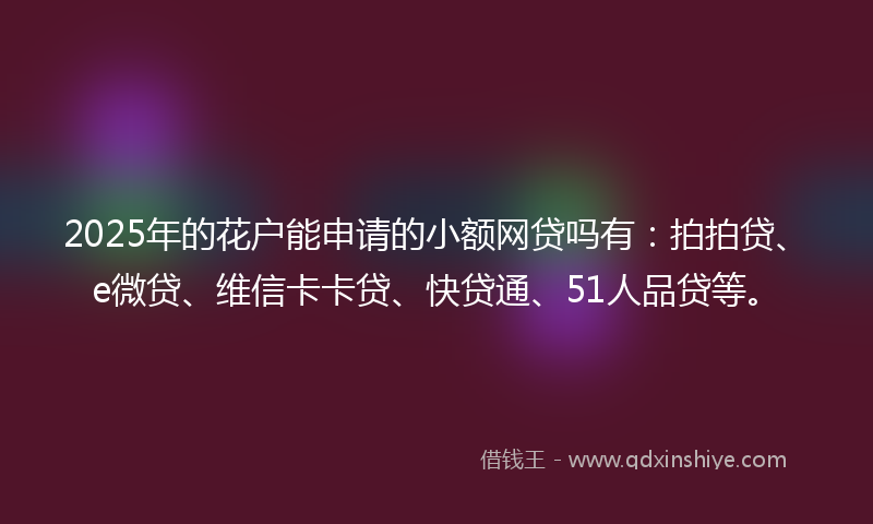 2025年的花户能申请的小额网贷吗有：拍拍贷、e微贷、维信卡卡贷、快贷通、51人品贷等。