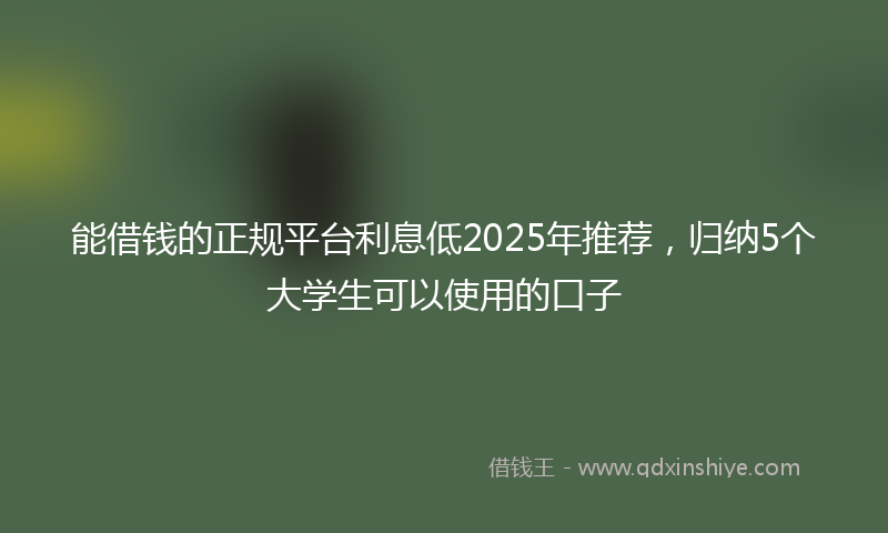 能借钱的正规平台利息低2025年推荐，归纳5个大学生可以使用的口子