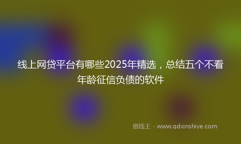 线上网贷平台有哪些2025年精选，总结五个不看年龄征信负债的软件