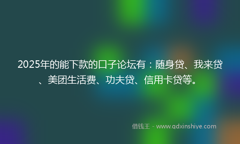2025年的能下款的口子论坛有：随身贷、我来贷、美团生活费、功夫贷、信用卡贷等。