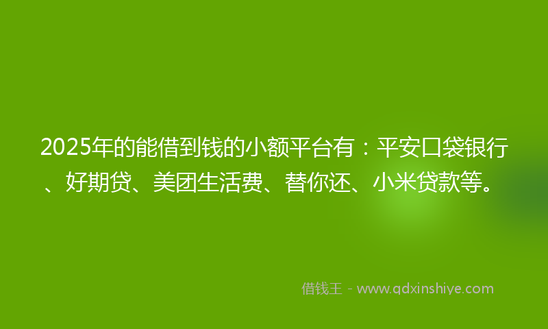 2025年的能借到钱的小额平台有：平安口袋银行、好期贷、美团生活费、替你还、小米贷款等。