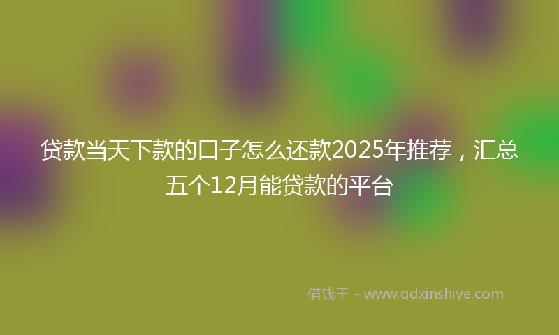 贷款当天下款的口子怎么还款2025年推荐，汇总五个12月能贷款的平台