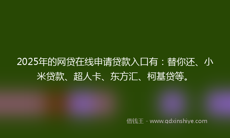 2025年的网贷在线申请贷款入口有：替你还、小米贷款、超人卡、东方汇、柯基贷等。