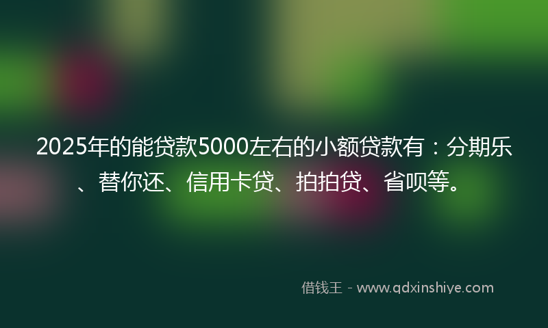 2025年的能贷款5000左右的小额贷款有：分期乐、替你还、信用卡贷、拍拍贷、省呗等。