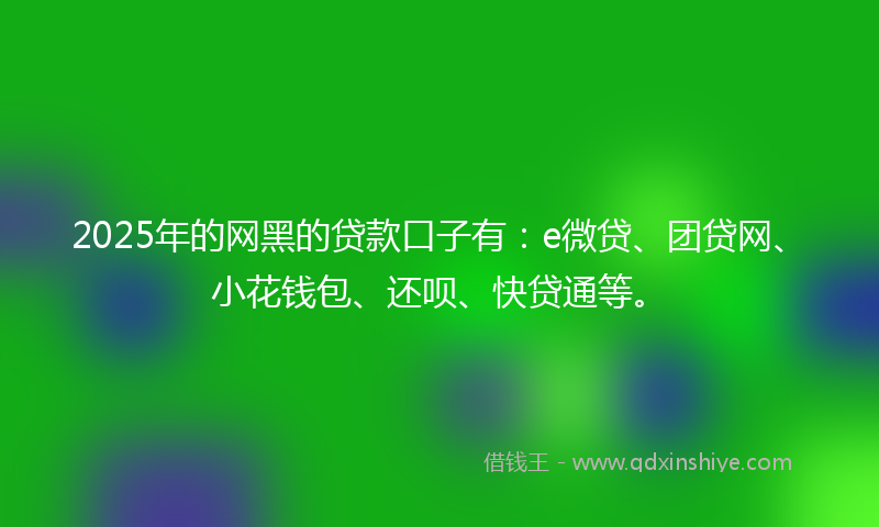 2025年的网黑的贷款口子有：e微贷、团贷网、小花钱包、还呗、快贷通等。
