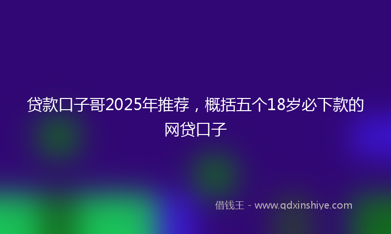 贷款口子哥2025年推荐，概括五个18岁必下款的网贷口子