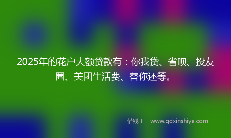 2025年的花户大额贷款有：你我贷、省呗、投友圈、美团生活费、替你还等。