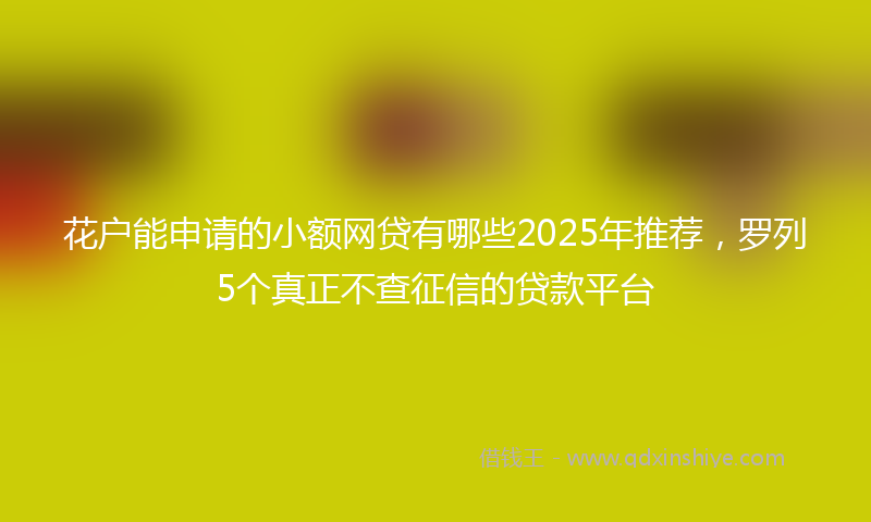 花户能申请的小额网贷有哪些2025年推荐，罗列5个真正不查征信的贷款平台