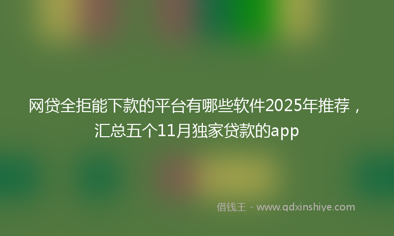 网贷全拒能下款的平台有哪些软件2025年推荐，汇总五个11月独家贷款的app