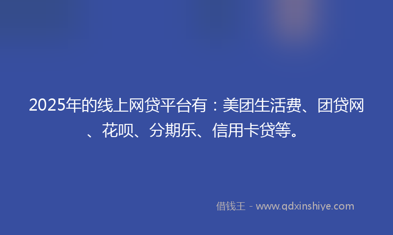 2025年的线上网贷平台有：美团生活费、团贷网、花呗、分期乐、信用卡贷等。