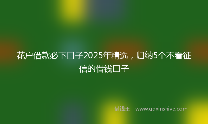 花户借款必下口子2025年精选，归纳5个不看征信的借钱口子