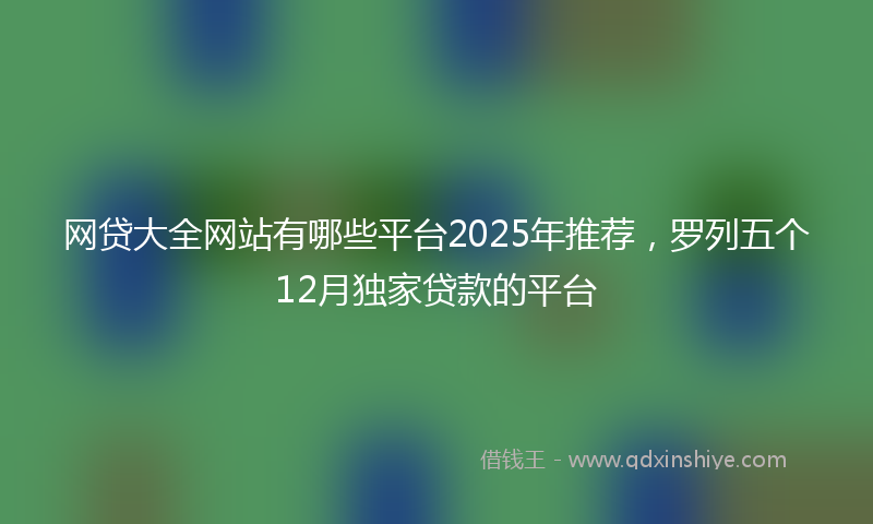 网贷大全网站有哪些平台2025年推荐，罗列五个12月独家贷款的平台