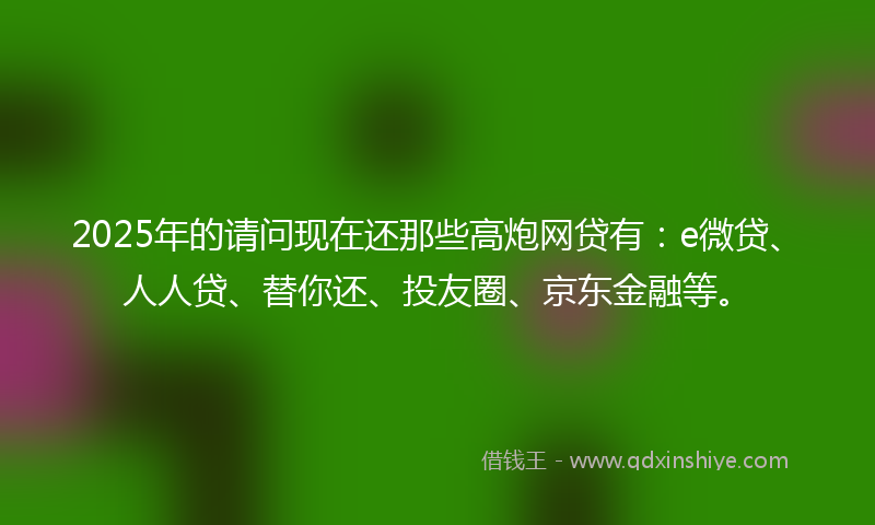 2025年的请问现在还那些高炮网贷有：e微贷、人人贷、替你还、投友圈、京东金融等。