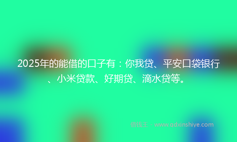 2025年的能借的口子有：你我贷、平安口袋银行、小米贷款、好期贷、滴水贷等。