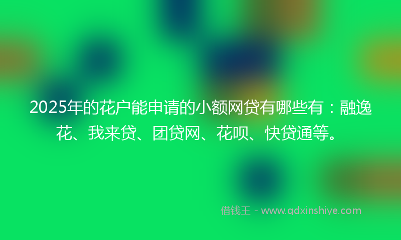 2025年的花户能申请的小额网贷有哪些有：融逸花、我来贷、团贷网、花呗、快贷通等。