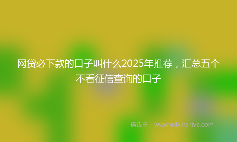 网贷必下款的口子叫什么2025年推荐，汇总五个不看征信查询的口子
