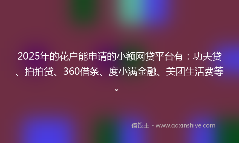 2025年的花户能申请的小额网贷平台有：功夫贷、拍拍贷、360借条、度小满金融、美团生活费等。