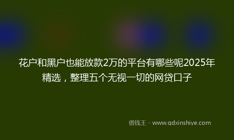 花户和黑户也能放款2万的平台有哪些呢2025年精选，整理五个无视一切的网贷口子