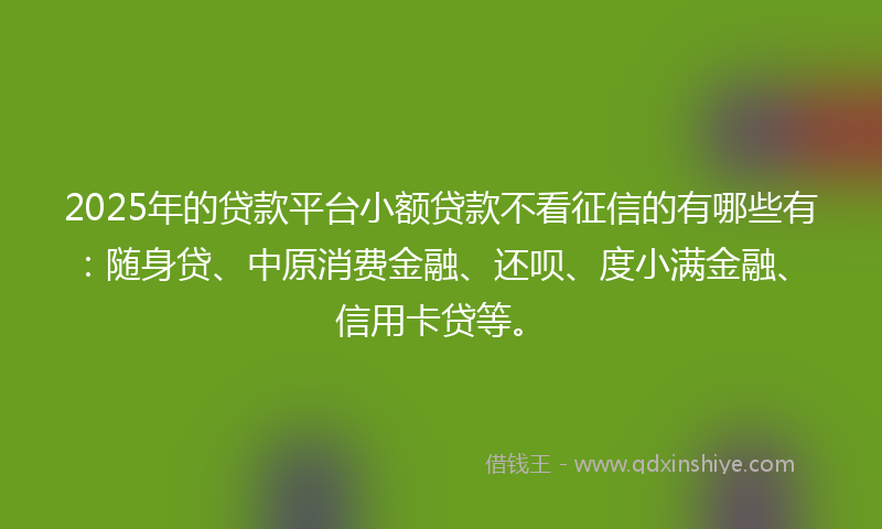 2025年的贷款平台小额贷款不看征信的有哪些有：随身贷、中原消费金融、还呗、度小满金融、信用卡贷等。