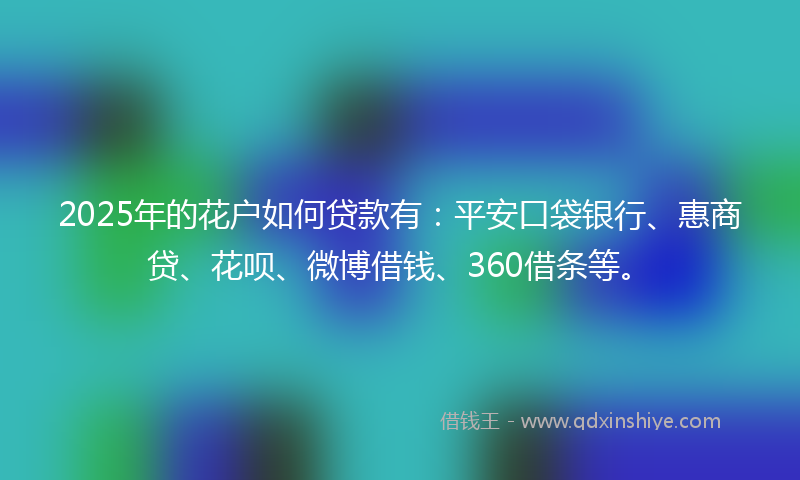 2025年的花户如何贷款有：平安口袋银行、惠商贷、花呗、微博借钱、360借条等。