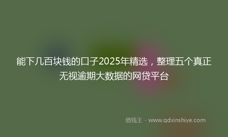 能下几百块钱的口子2025年精选，整理五个真正无视逾期大数据的网贷平台