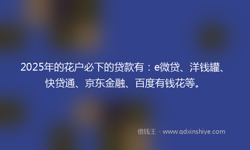 2025年的花户必下的贷款有：e微贷、洋钱罐、快贷通、京东金融、百度有钱花等。