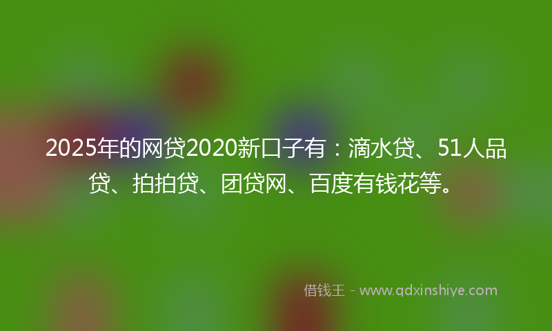 2025年的网贷2020新口子有：滴水贷、51人品贷、拍拍贷、团贷网、百度有钱花等。