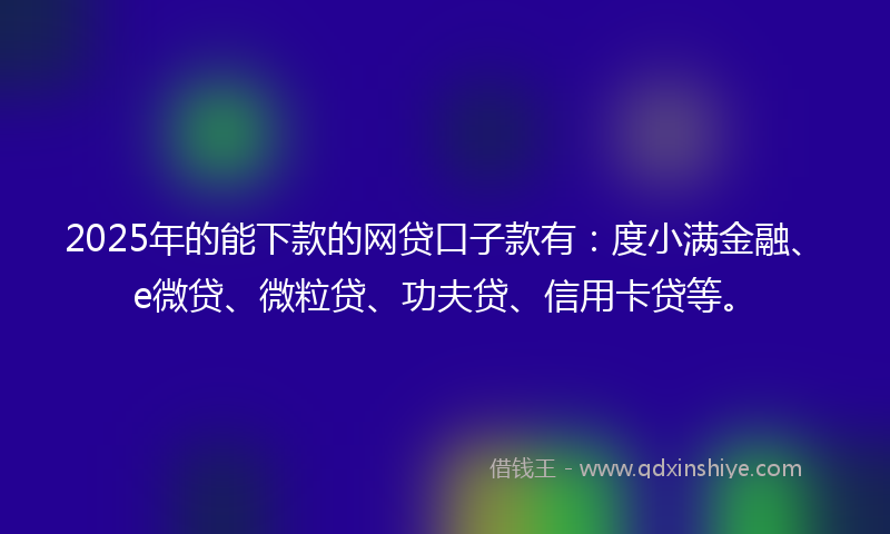 2025年的能下款的网贷口子款有：度小满金融、e微贷、微粒贷、功夫贷、信用卡贷等。