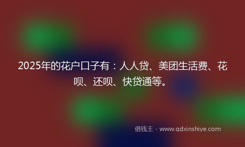 2025年的花户口子有：人人贷、美团生活费、花呗、还呗、快贷通等。