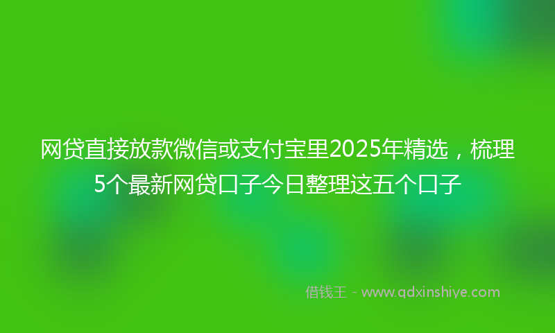网贷直接放款微信或支付宝里2025年精选，梳理5个最新网贷口子今日整理这五个口子