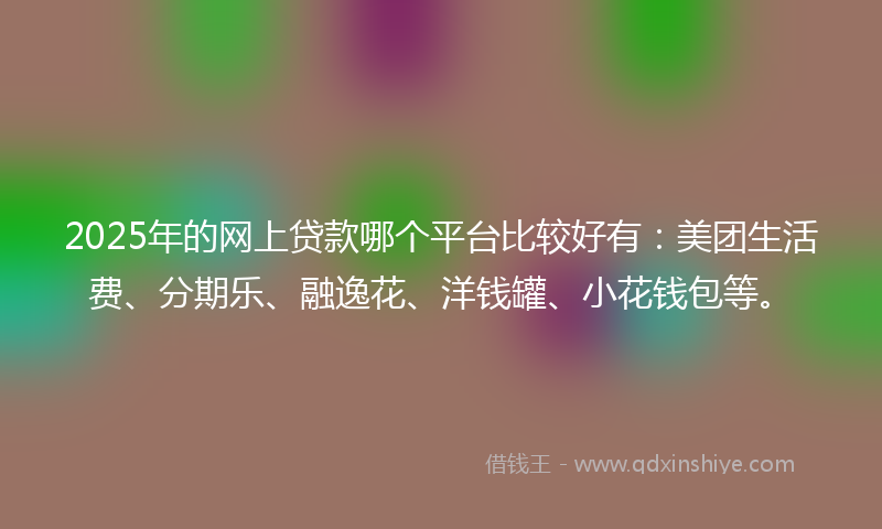2025年的网上贷款哪个平台比较好有：美团生活费、分期乐、融逸花、洋钱罐、小花钱包等。