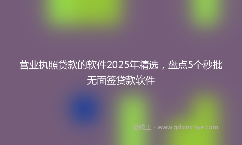 营业执照贷款的软件2025年精选，盘点5个秒批无面签贷款软件
