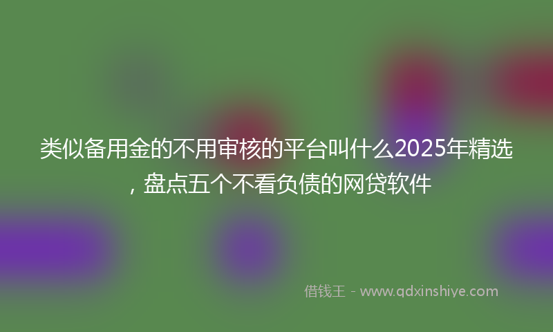类似备用金的不用审核的平台叫什么2025年精选,盘点五个不看负债的网贷软件