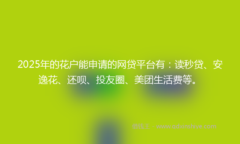 2025年的花户能申请的网贷平台有：读秒贷、安逸花、还呗、投友圈、美团生活费等。