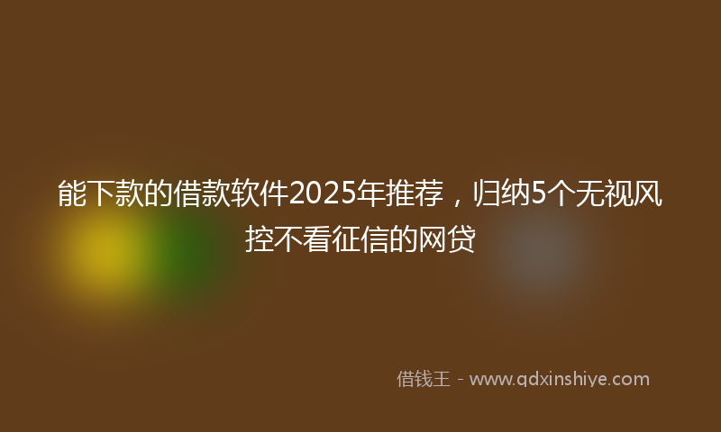 能下款的借款软件2025年推荐，归纳5个无视风控不看征信的网贷