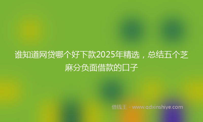 谁知道网贷哪个好下款2025年精选，总结五个芝麻分负面借款的口子