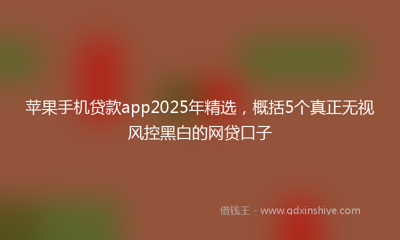 苹果手机贷款app2025年精选，概括5个真正无视风控黑白的网贷口子