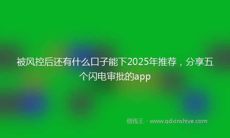 被风控后还有什么口子能下2025年推荐，分享五个闪电审批的app