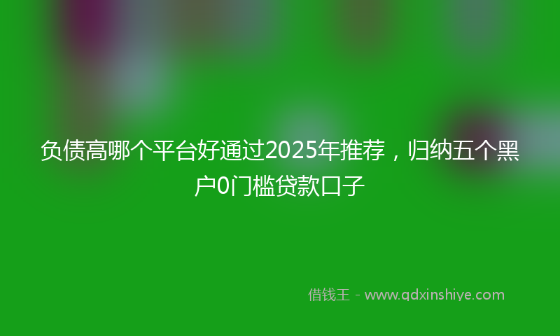 负债高哪个平台好通过2025年推荐，归纳五个黑户0门槛贷款口子