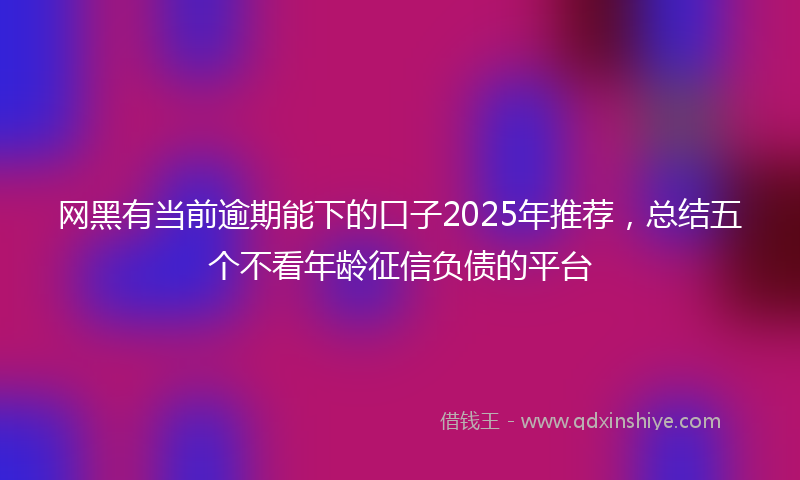 网黑有当前逾期能下的口子2025年推荐，总结五个不看年龄征信负债的平台
