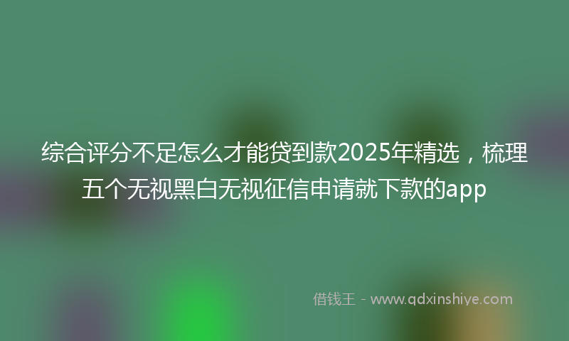 综合评分不足怎么才能贷到款2025年精选，梳理五个无视黑白无视征信申请就下款的app