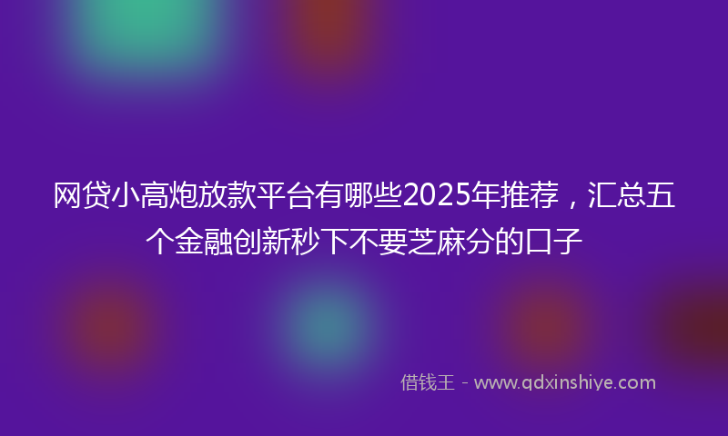 网贷小高炮放款平台有哪些2025年推荐，汇总五个金融创新秒下不要芝麻分的口子