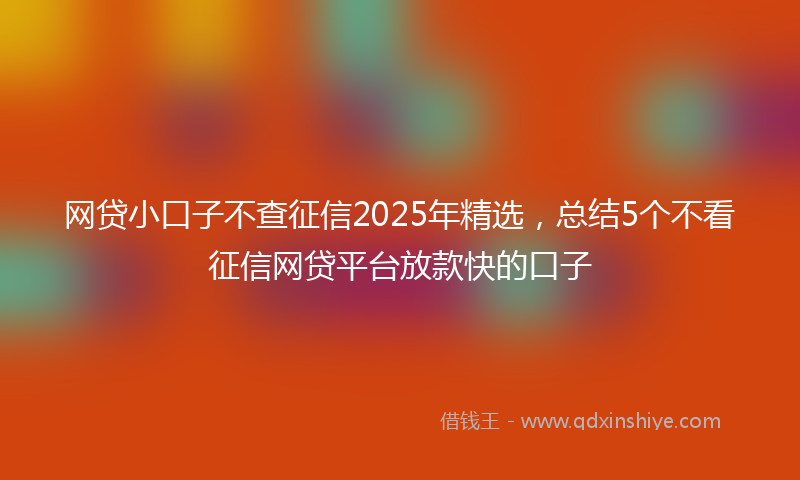 网贷小口子不查征信2025年精选，总结5个不看征信网贷平台放款快的口子