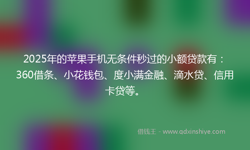 2025年的苹果手机无条件秒过的小额贷款有：360借条、小花钱包、度小满金融、滴水贷、信用卡贷等。