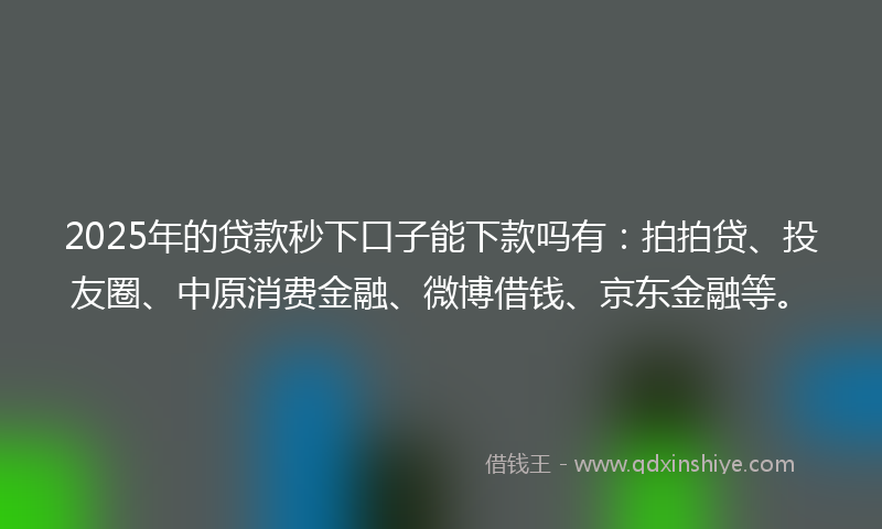2025年的贷款秒下口子能下款吗有：拍拍贷、投友圈、中原消费金融、微博借钱、京东金融等。